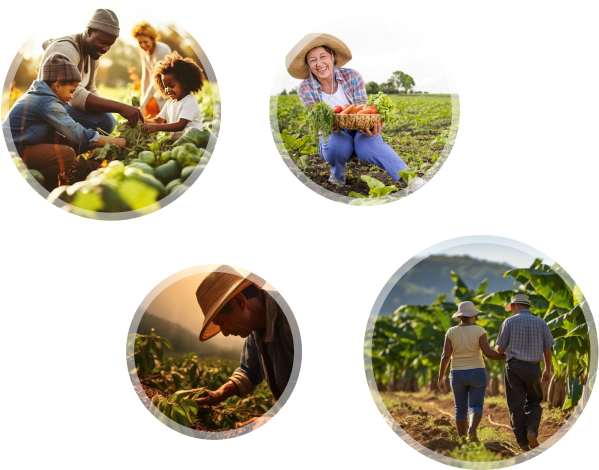 Ilustração RedeCoop RS: oferta e famílias conectadas pela cooperação